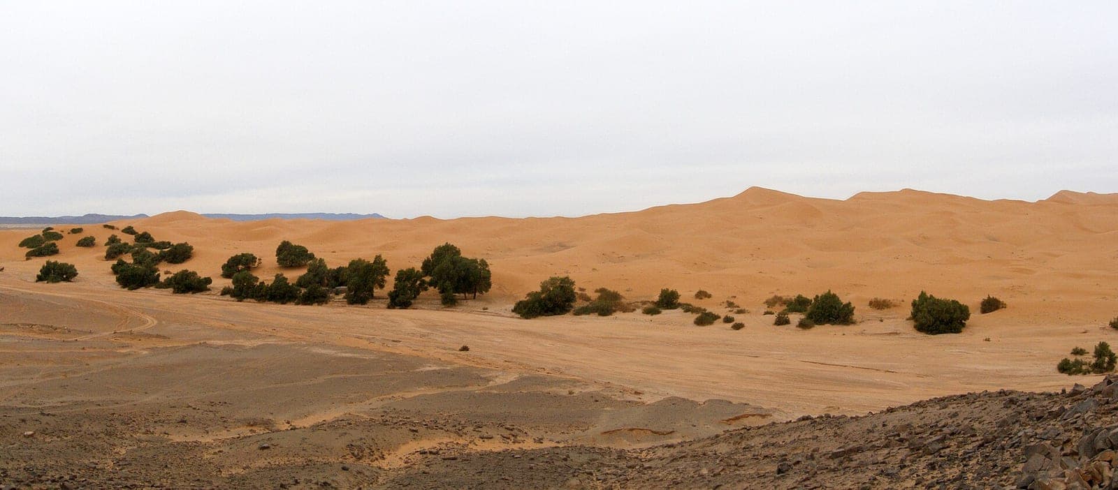 Maroc
